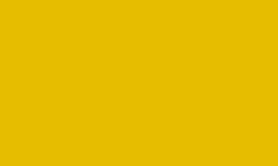 RAL 1003 - Signal yellow 